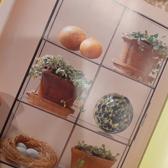 Plant book THE NEW TERRARIUM  CREATING BEAUTIFUL DISPLAYS FOR PLANTS AND NATURE - Picture 10 of 13